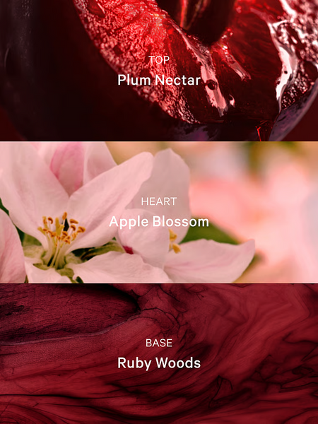Парфюмированный лосьон Victoria's Secret Ruby Plum Nights, 236 мл 27313522 фото