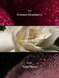 Парфумований лосьйон Victoria&rsquo;s Secret Crimson Berry Kiss, 236 мл 27313525 фото 2