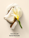 Парфюмированный лосьон Victoria's Secret Coconut Passion Whipped, 236 мл 27313228 фото 2