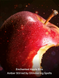 Міст для тіла з шиммером Victoria&rsquo;s Secret Apple Aphrodisiac Shimmer, 250 мл 27320578 фото 2