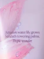 Зволожуючий лосьйон Lush Starfruit Lotus 236ml Victoria's Secret - Зображення 2